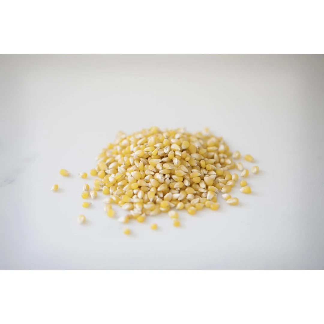 Amish Country Popcorn Ladyfinger Popcorn, LF-16011, 2 LB Bag 4 Amish Country Popcorn Ladyfinger Popcorn, LF-16011, 2 LB Bag - Image 2